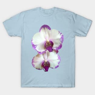 White Phalaenopsis Orchids With Purple Edges T-Shirt